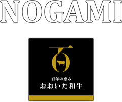 豊後牛・おおいた和牛通販のがみ